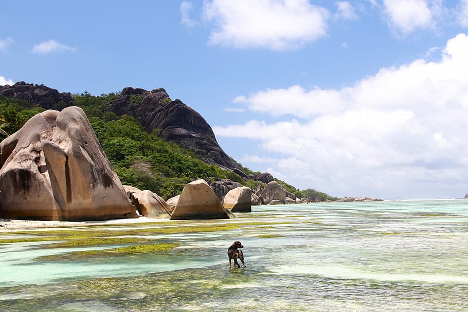 Sea, Boot, Seychelles, Water, Ship, caribbean, maldives, beach HD wallpaper