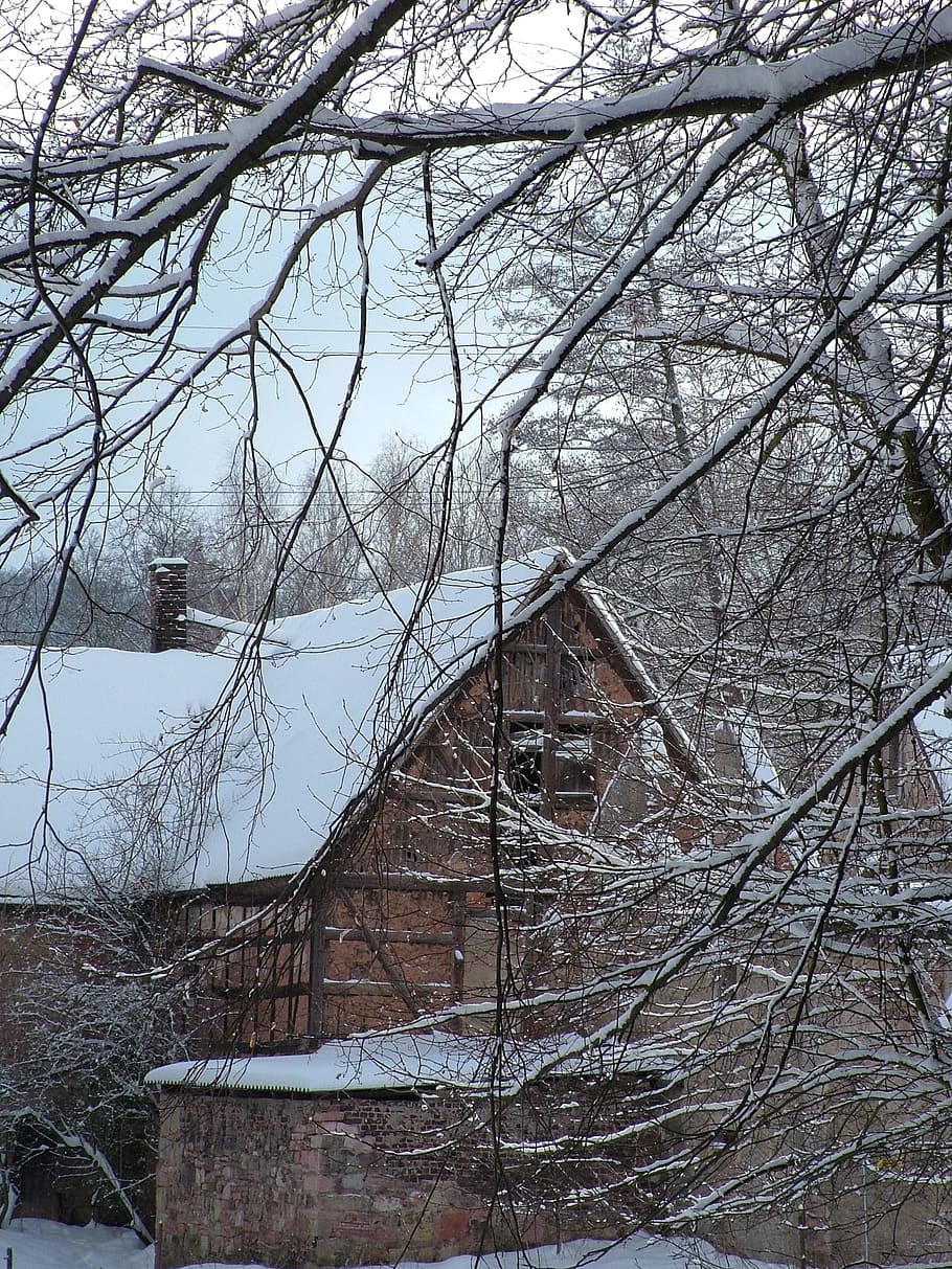 Winter, Building, Snow, bare tree, cold temperature, built structure HD wallpaper