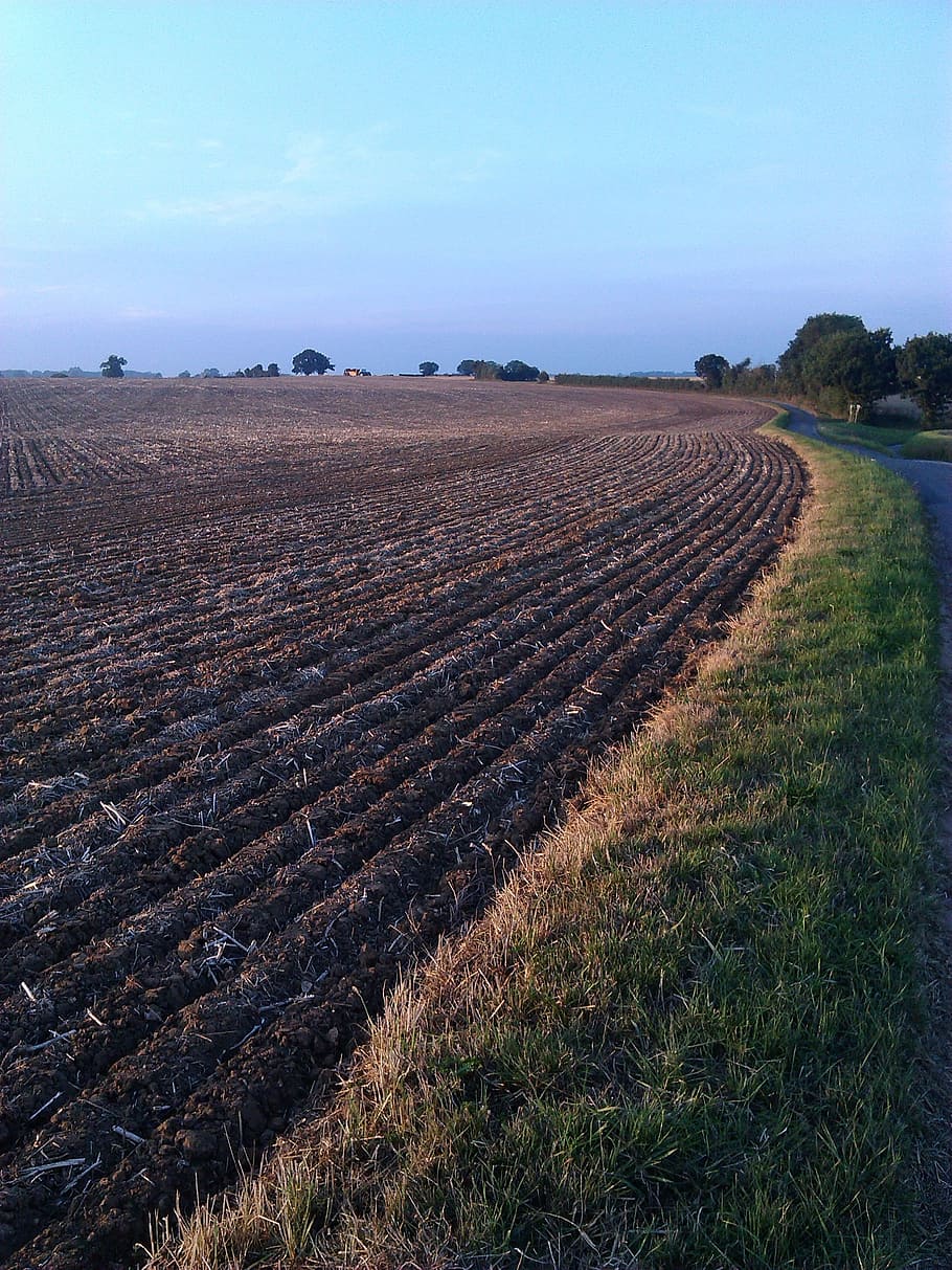 ploughed field, norfolk, blue sky, tilled, land, farm, landscape