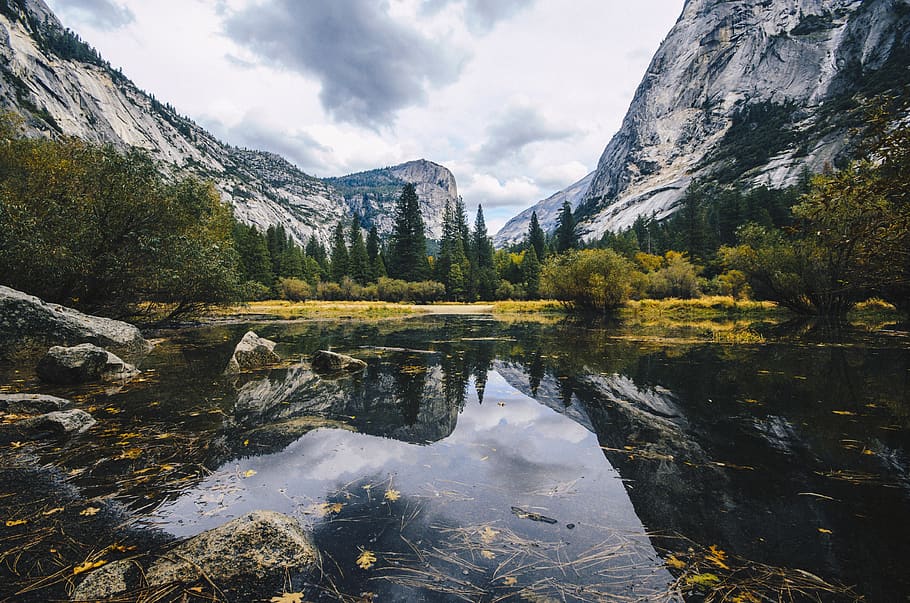 lake, water, leaf, fall, autumn, tree, plant, forest, reflection HD wallpaper