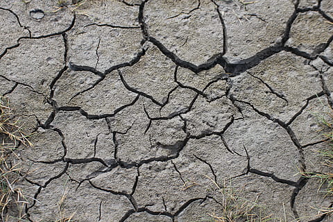 close up photography of crack soil, earth, dry, cracks, dehydrated HD wallpaper
