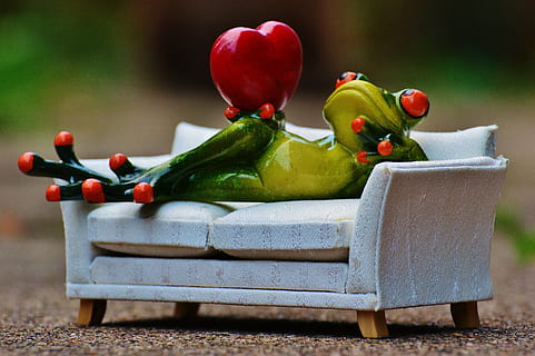 green ceramic frog figurine on couch during daytime, love, sofa HD wallpaper