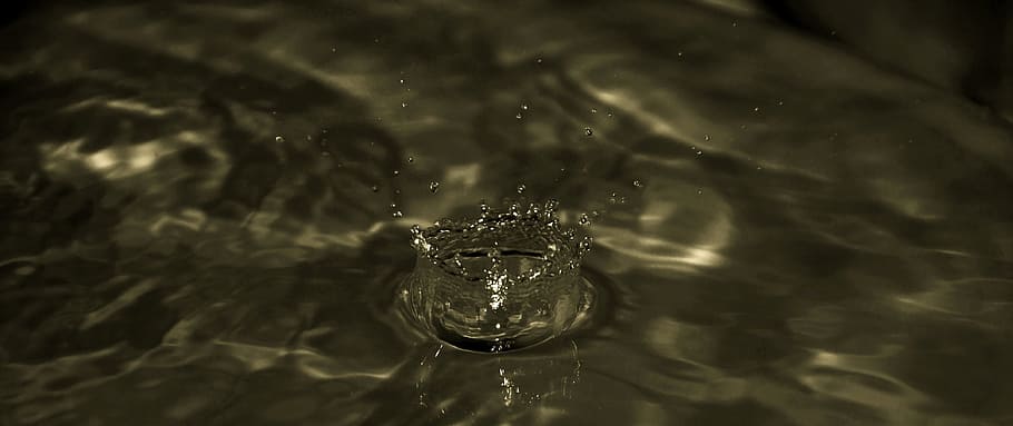 Water, Splash, Drop, Droplet, Wet, Macro, ripple, fresh, splash water HD wallpaper