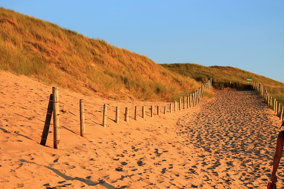 dune, dike, away, path, fence, sand, coast, beach, land, scenics - nature HD wallpaper