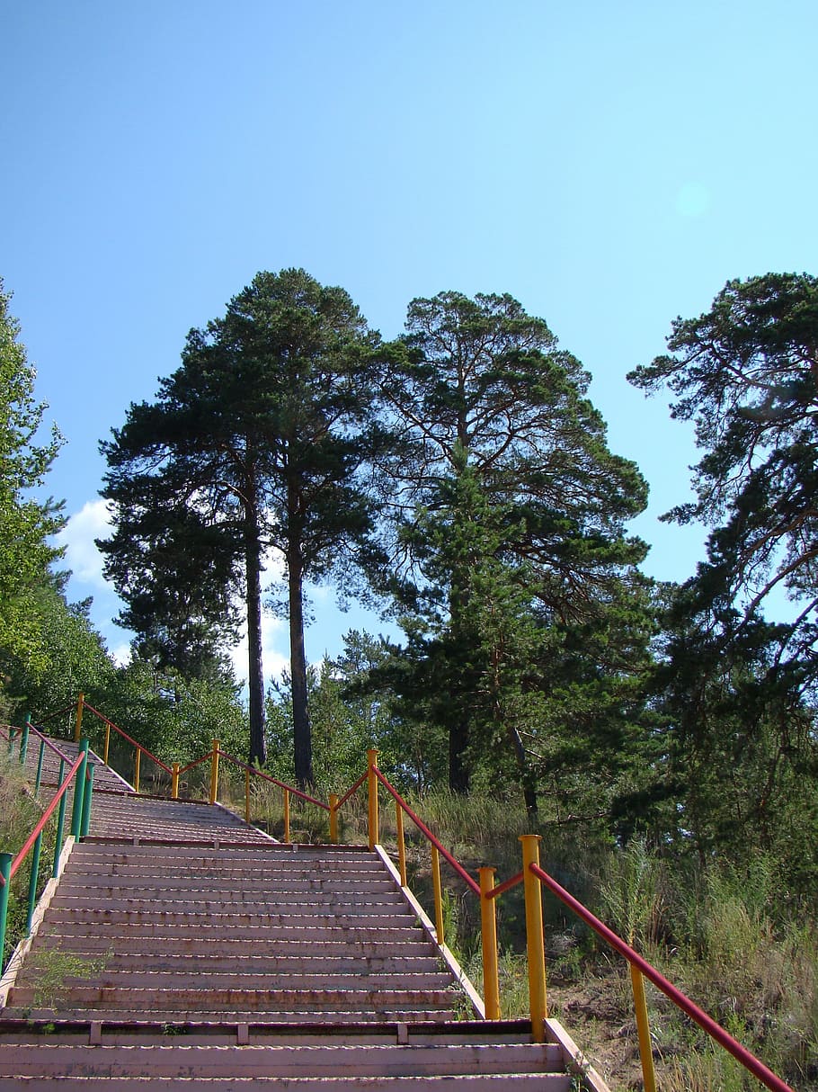 Ladder, Stage, Railing, Pine, Upgrade, summer, festival songs HD wallpaper