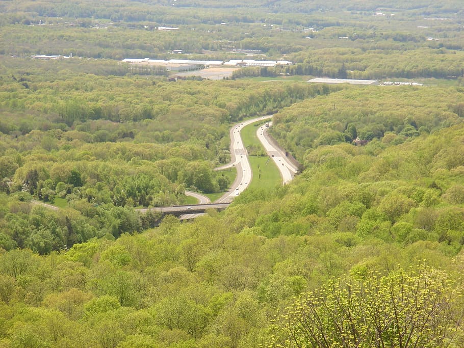 highway, outdoors, route, forest, parks, view, landscape, nature HD wallpaper
