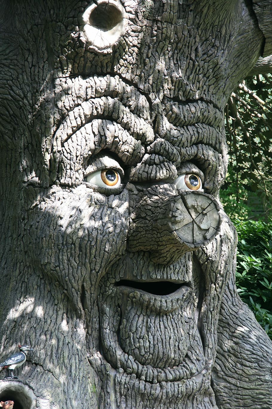 fairy tree, image, fantasy, efteling, animal, animal themes HD wallpaper