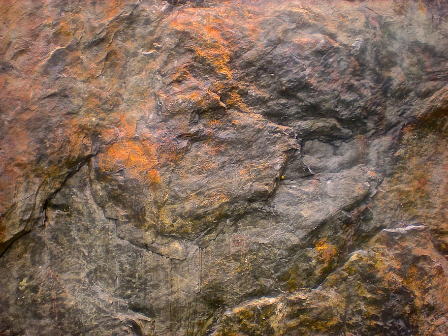 stone, bear head, rust, grey, backgrounds, nature, pattern HD wallpaper