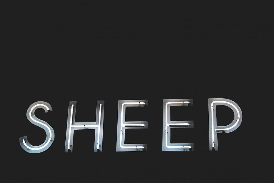 letters, font, sheep, light, dark, text, illuminated, neon HD wallpaper