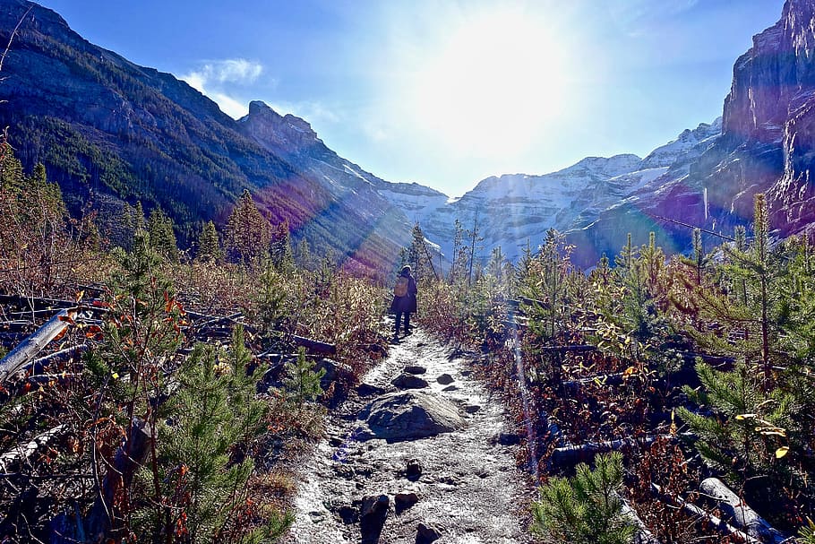 person walking near green plant, path, sunlight, trekking, landscape HD wallpaper