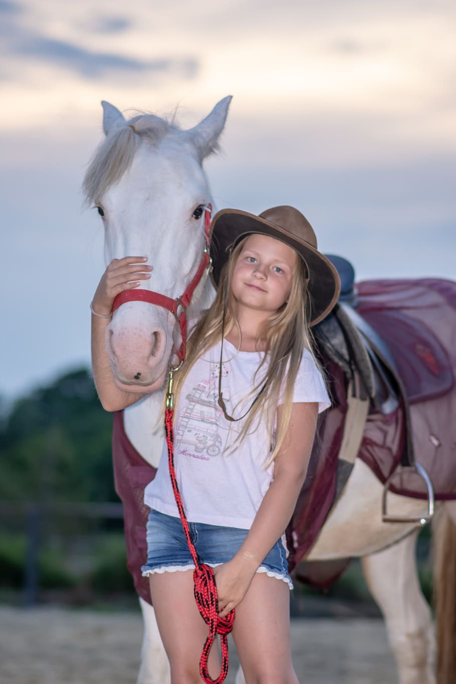 girl, horse, animal, nature, horses, farm, stallion, white, HD wallpaper