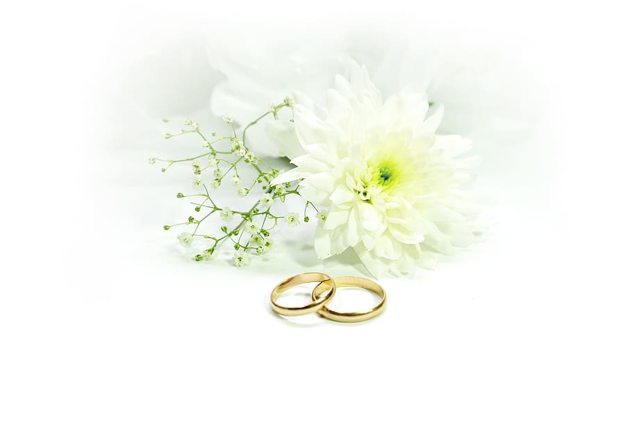 pair of gold-colored engagement ring beside of white flowers, HD wallpaper
