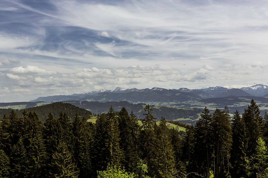 forest, hill, mountains, landscape, meadow, green, nature, sky HD wallpaper