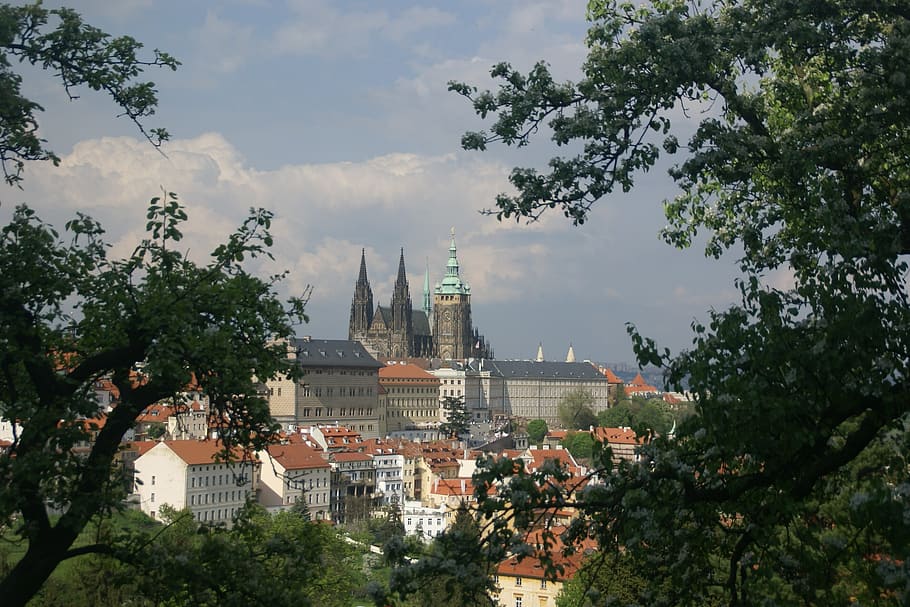 prague, castle, architecture, sights, tree, built structure HD wallpaper