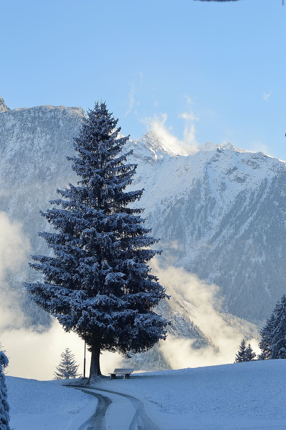 winter, snow, sautens, haderlehn, tyrol, austria, wintry, cold temperature HD wallpaper