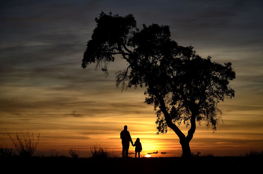 silhouette of two person near tree, backlight, nature, sunset HD wallpaper