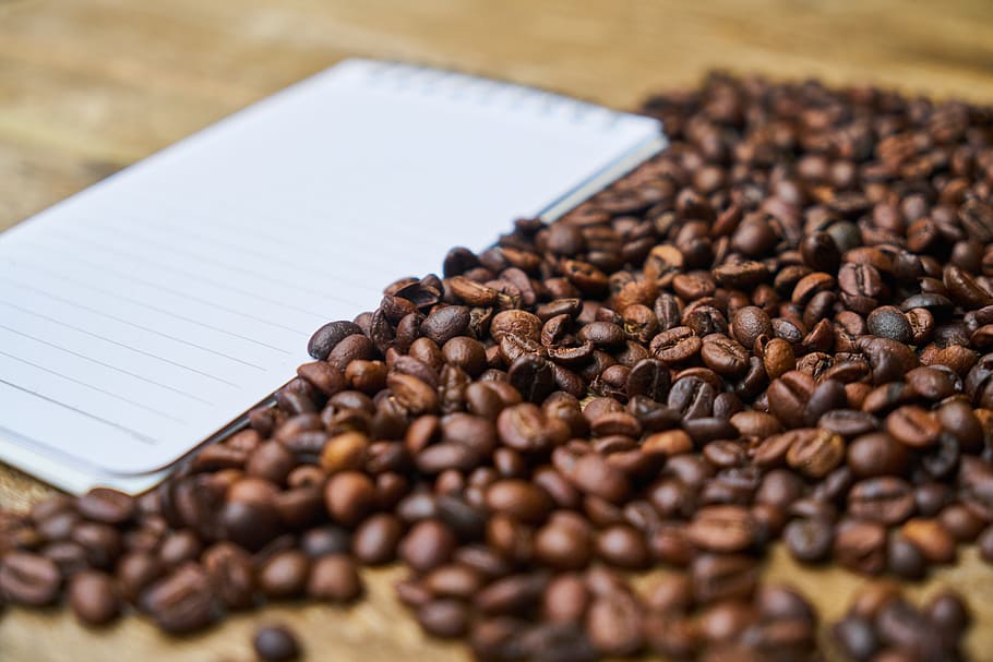 notebook, coffee, course, the work, espresso, coffee bean, kernels HD wallpaper