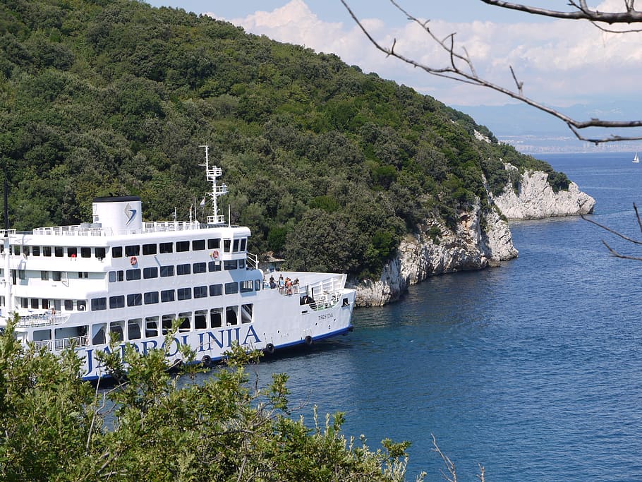 ship, sea, ferry, water, plant, mountain, tree, nature, beauty in nature HD wallpaper
