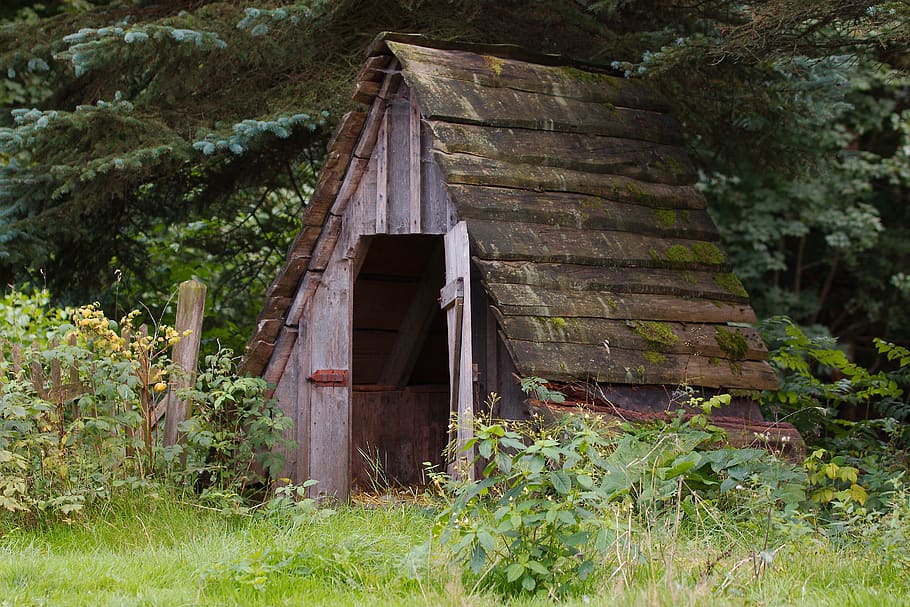 wood, barn, rustic, house, abandoned, grass, barrack, woods, HD wallpaper