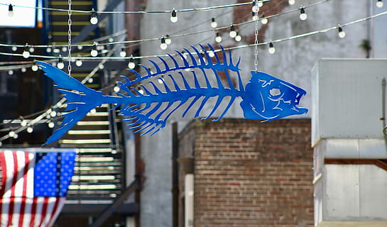 Fishbone sign, fish fin hanging on string light, blue, flag, patriotism HD wallpaper