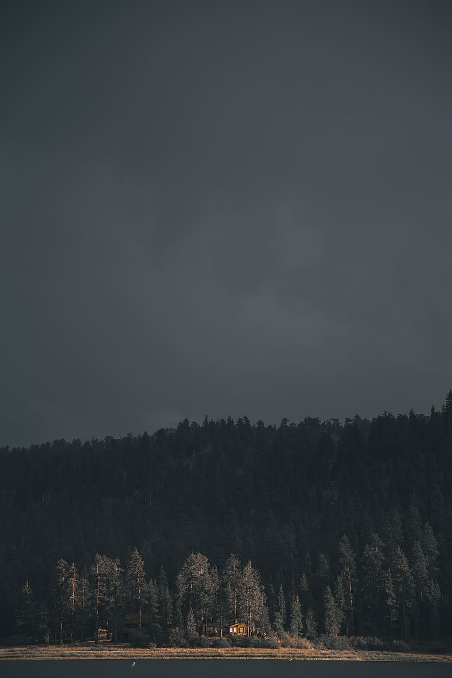 forest near body of water, house in the middle of forestr, sky HD wallpaper