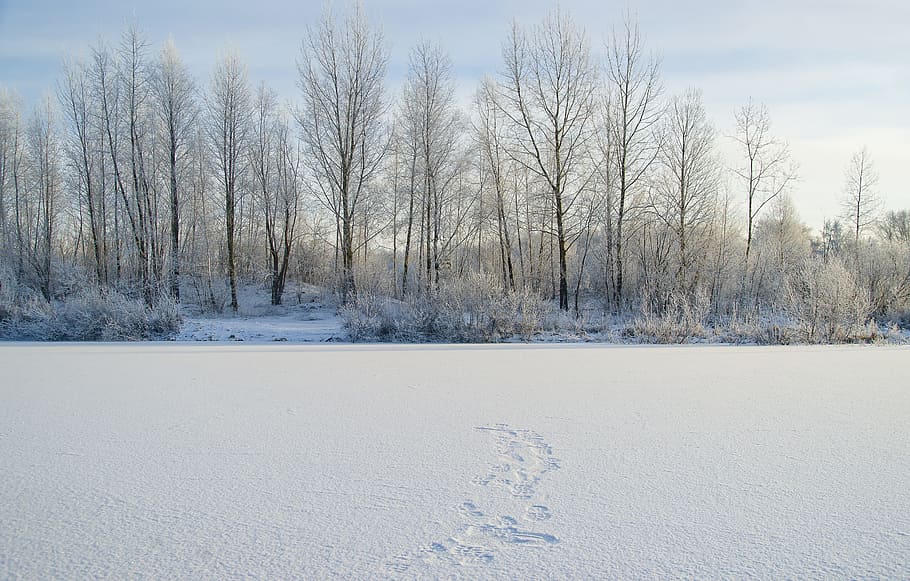 white snow during daytime, lake, travel, siberia, landscapes