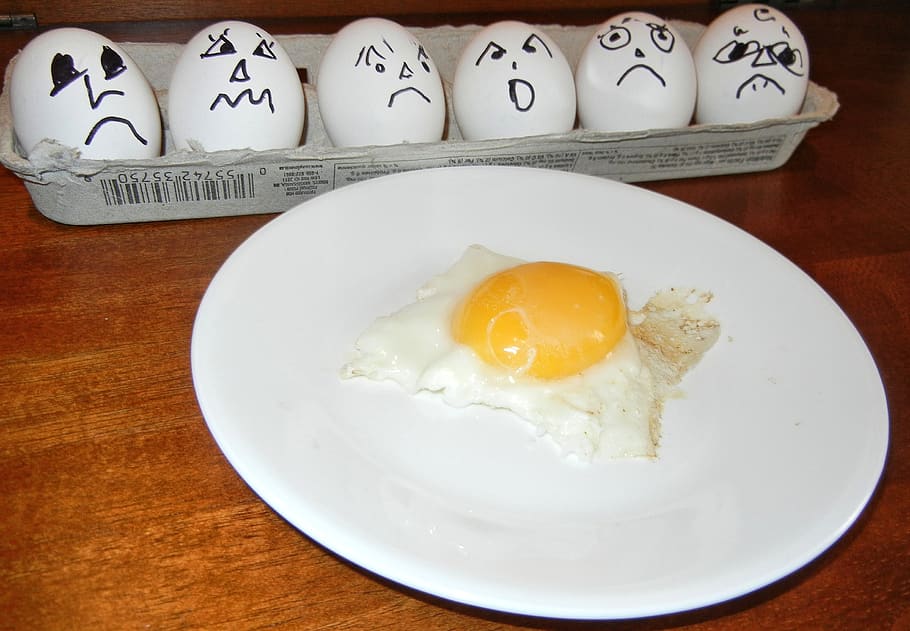 eggs, cooked, in shell, waiting, table, wellbeing, healthy eating HD wallpaper