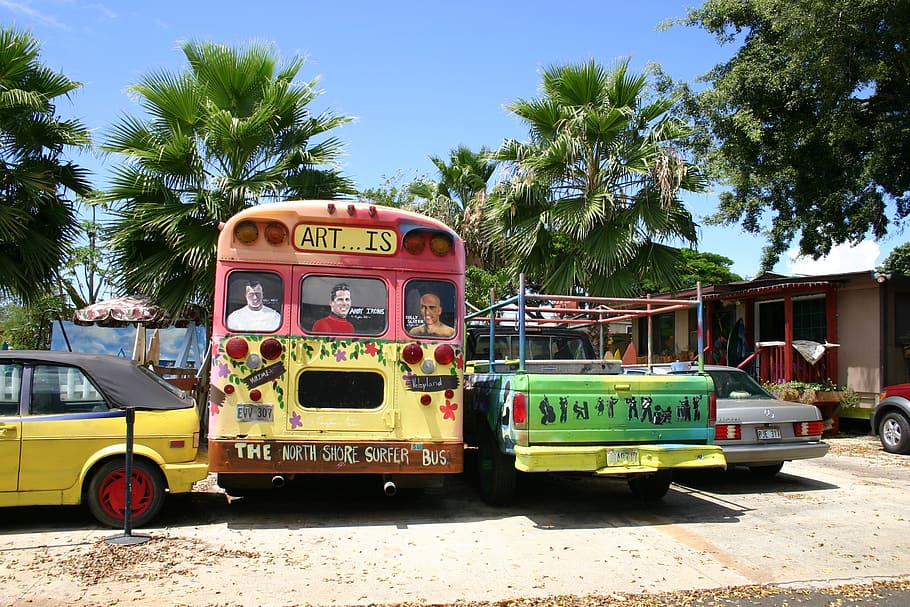 bus, hawaii, graffiti, mode of transportation, tree, land vehicle HD wallpaper