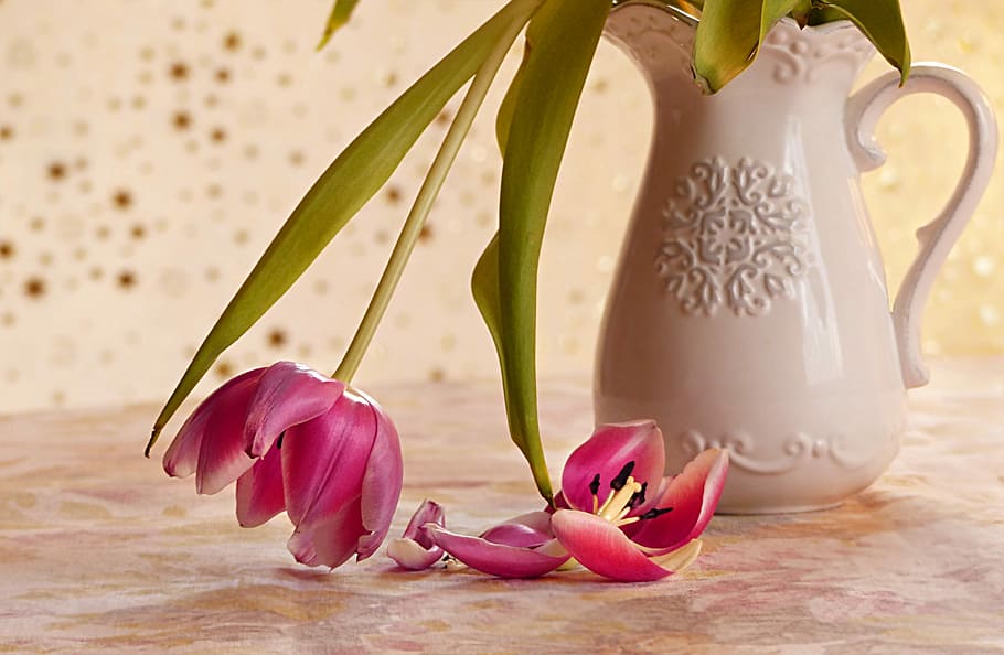 pink tulips in white vase centerpiece, still life, flowers, tulipa, HD wallpaper