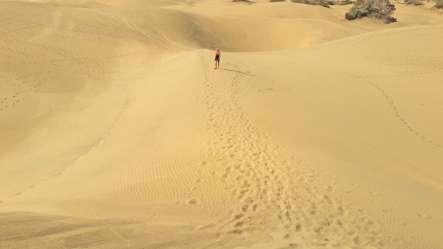sand, desert, beach, coast, sandy, land, sand dune, scenics - nature HD wallpaper