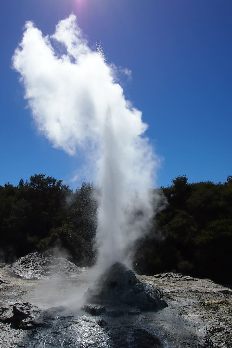 rotorua, geyser, new zealand, detergent, hot source, north island