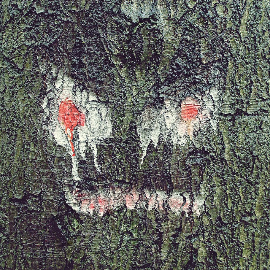 tree, face, log, tree face, nature, wood, bark, tree bark, creepy HD wallpaper