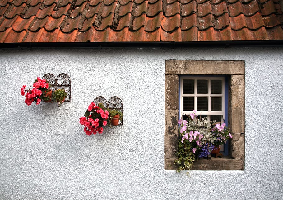 Old, Cottage, Window, Flowers, old cottage, no people, outdoors HD wallpaper
