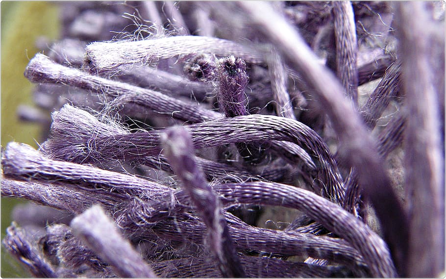 purple, macro, carpet, close-up, no people, selective focus HD wallpaper