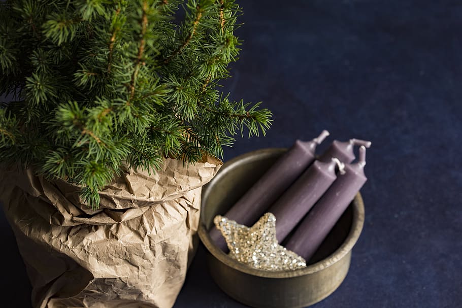 christmas, tree, decorations, ornaments, candles, holiday, plant HD wallpaper