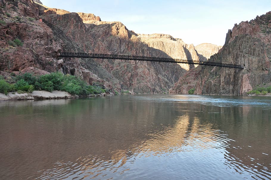 grand canyon, mule trip, river, bridge, america, arizona, attraction, HD wallpaper