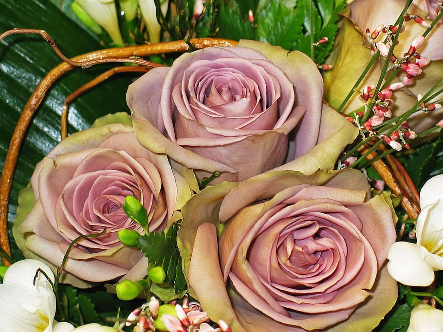 three brown roses, Bouquet Of Roses, strauss, wedding, congratulations, HD wallpaper