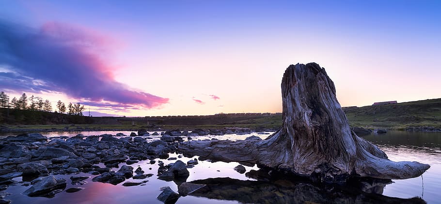 driftwood on body of water near gray stones, Sunset, Stakes HD wallpaper