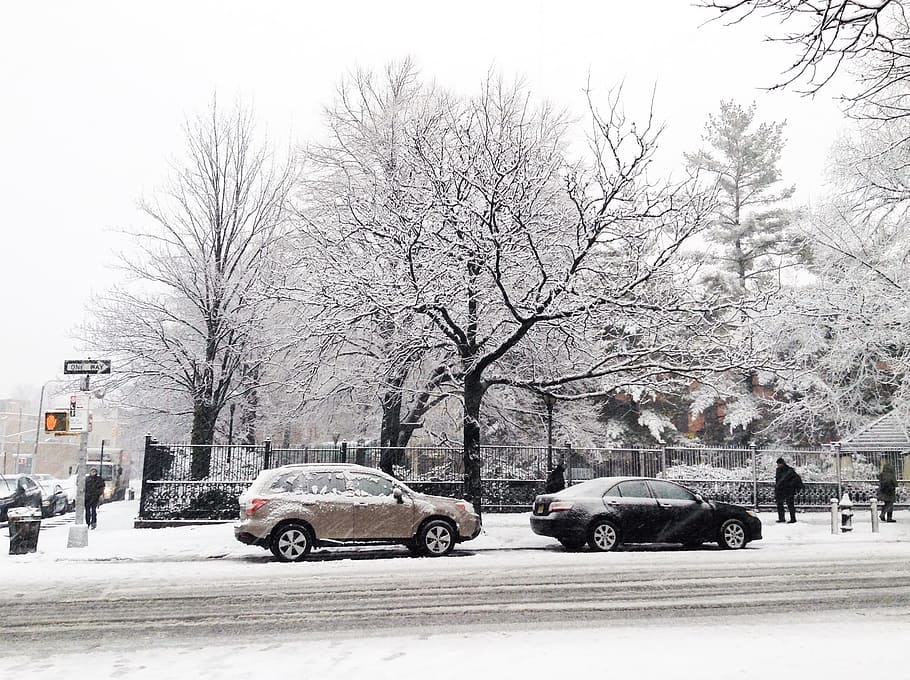 Brooklyn Snow, car, falling snow, people, seasons, street, trees, HD wallpaper