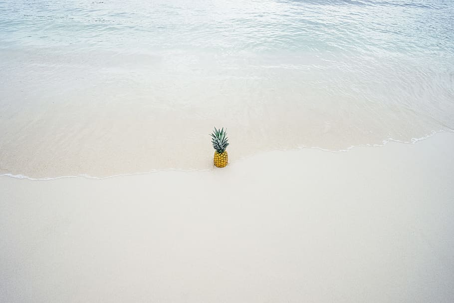 Pineapple in the Middle of the Seashore, beach, fruit, ocean HD wallpaper