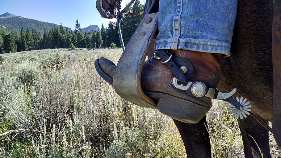 cowboy riding spurs