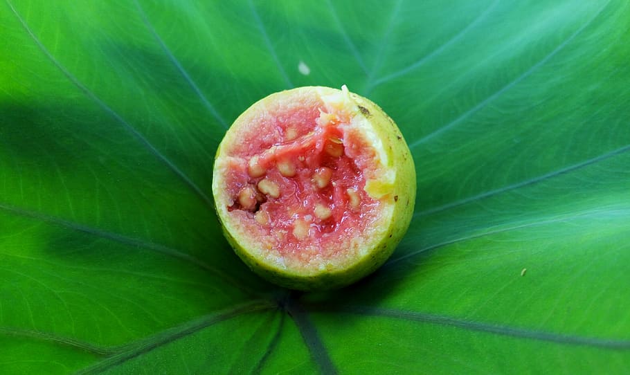 close-up photography of opened fruit, red guava, leaf, green HD wallpaper