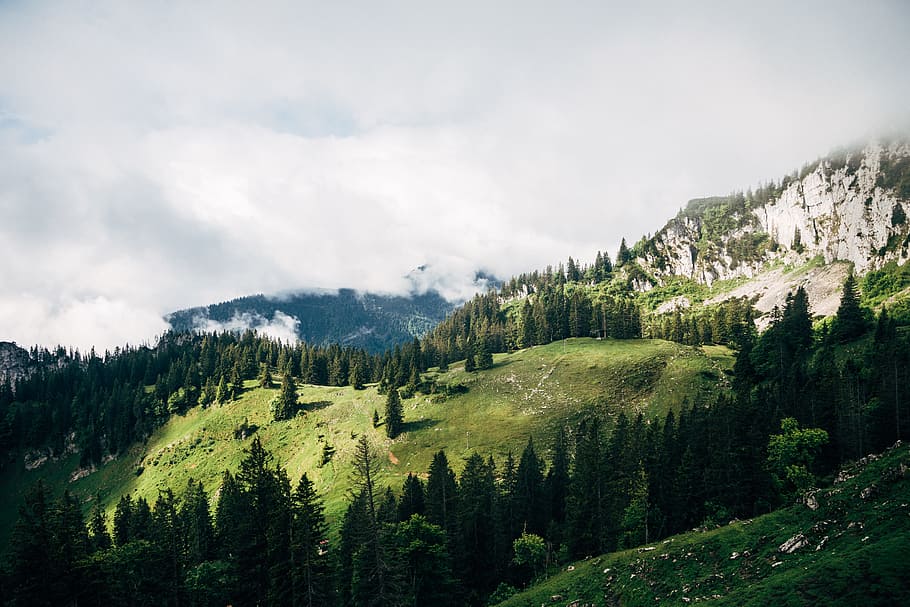 grass and tree covered mountain under white clouds, Afternoon Sun at the Kampenwand HD wallpaper