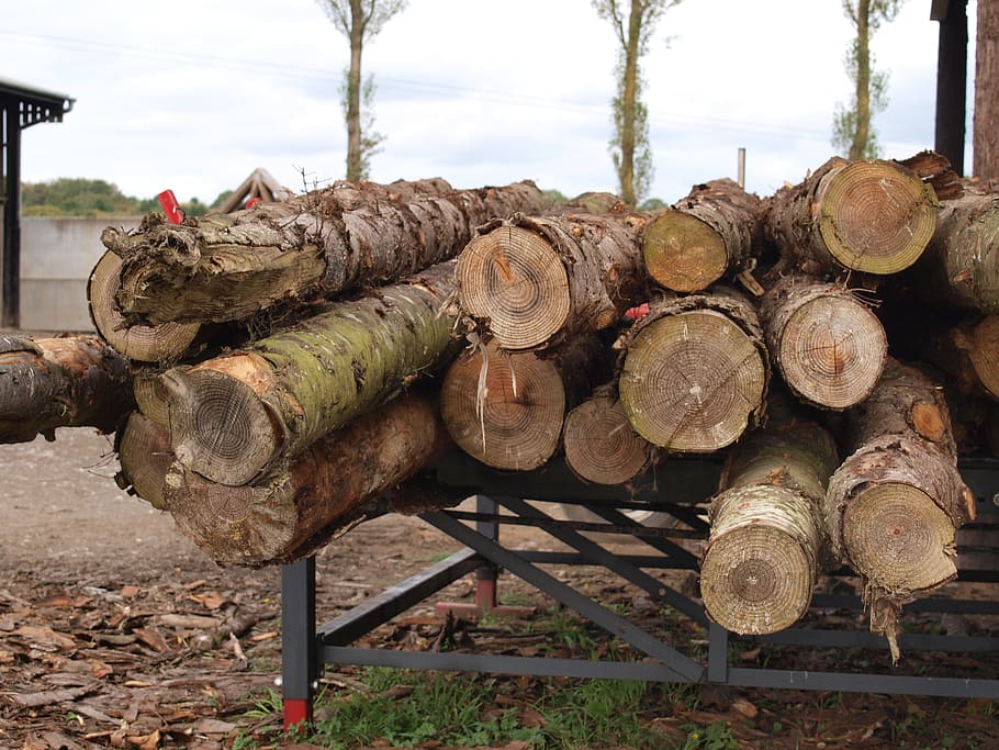 logs, wood, timber, tree, stack, wood - material, firewood HD wallpaper