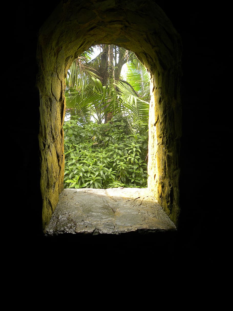 moss covered concrete tunnel, stone, age, green, puerto rico HD wallpaper