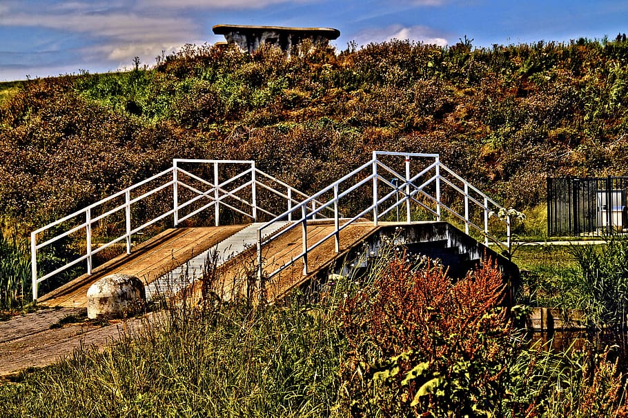 bridge, hdr, path, nature, architecture, built structure, plant HD wallpaper