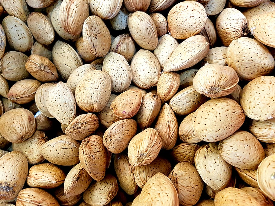 almonds, sicily, dry fruit, food, backgrounds, close-up, nature HD wallpaper
