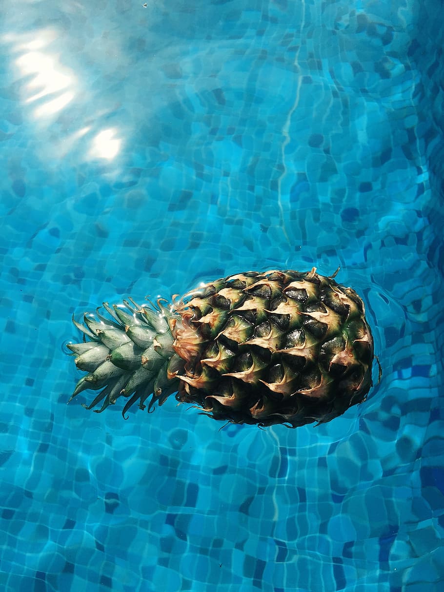 pineapple, dessert, appetizer, fruit, juice, crop, pool, water HD wallpaper