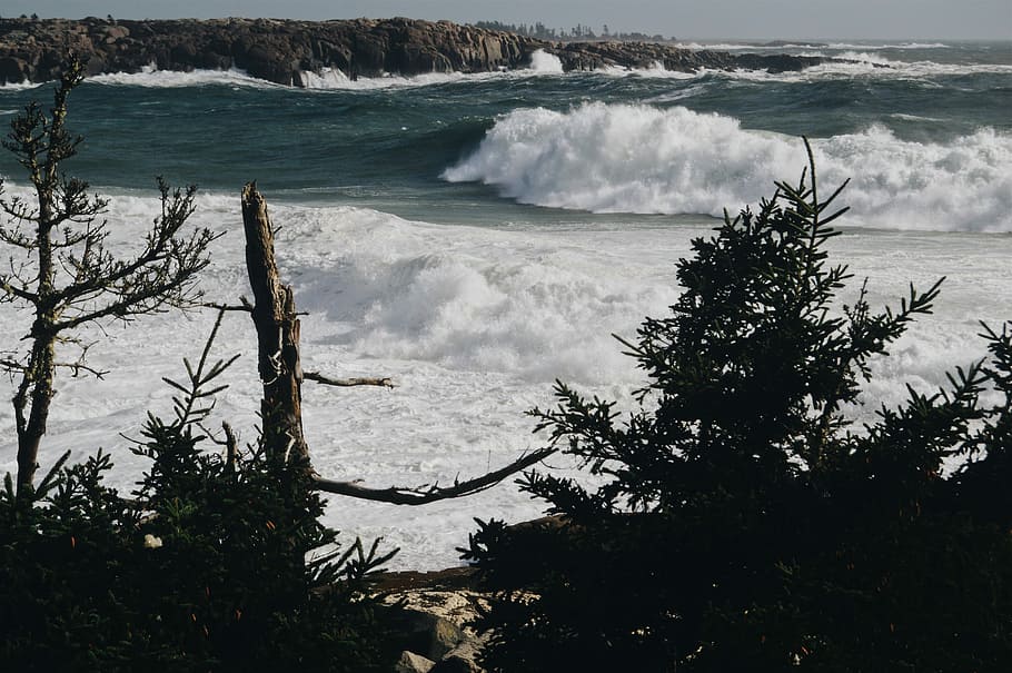 high ocean waves in beach, wave of water near forest, surf, coast HD wallpaper