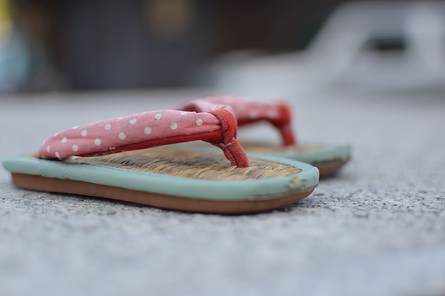 lost and found, summer, each more, selective focus, close-up HD wallpaper